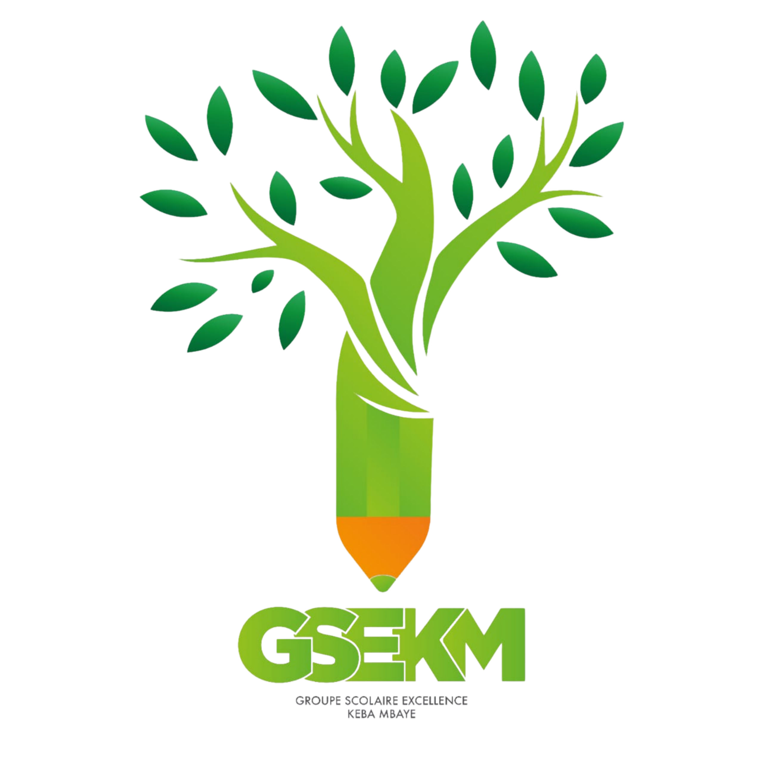 design sans titre (1)